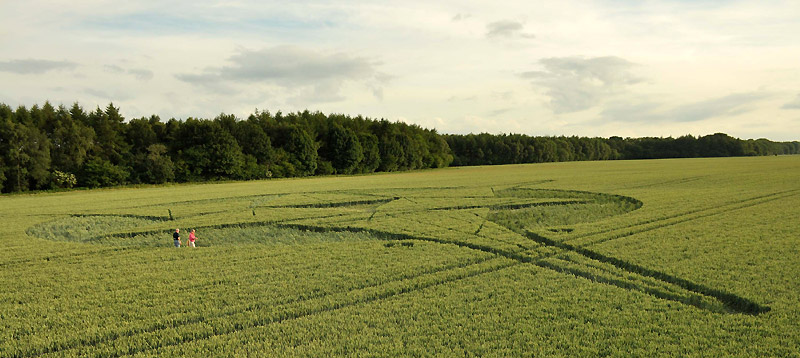 Savernake Forest, Wiltshire crop circle, aerial photo 43