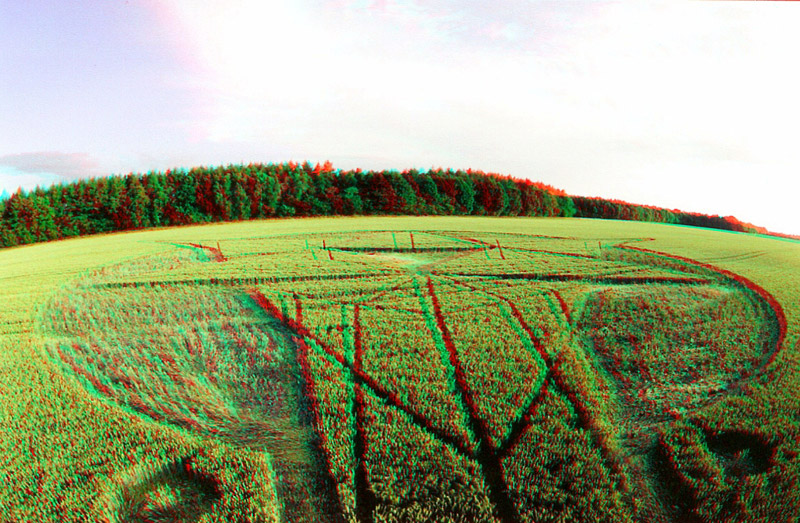 Savernake Forest, Wiltshire crop circle, aerial photo 65