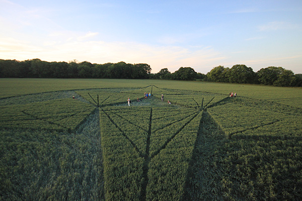 Savernake Forest, Wiltshire crop circle, aerial photo 62