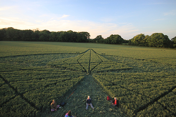 Savernake Forest, Wiltshire crop circle, aerial photo 64