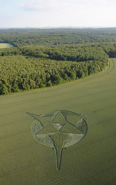 Savernake Forest, Wiltshire crop circle, aerial photo 42