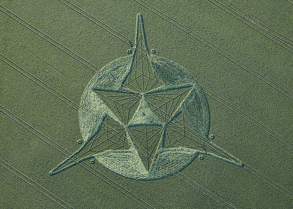 Savernake Forest, Wiltshire crop circle, aerial photo 6