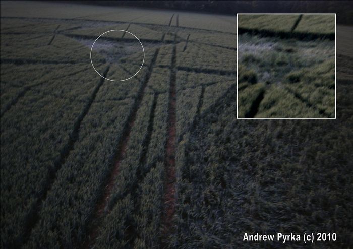 Savernake Forest, Wiltshire crop circle, aerial photo 47