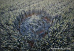 Savernake Forest, Wiltshire crop circle, aerial photo 60