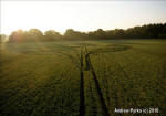 Savernake Forest, Wiltshire crop circle, aerial photo 59