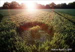 Savernake Forest, Wiltshire crop circle, aerial photo 58