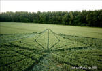 Savernake Forest, Wiltshire crop circle, aerial photo 48