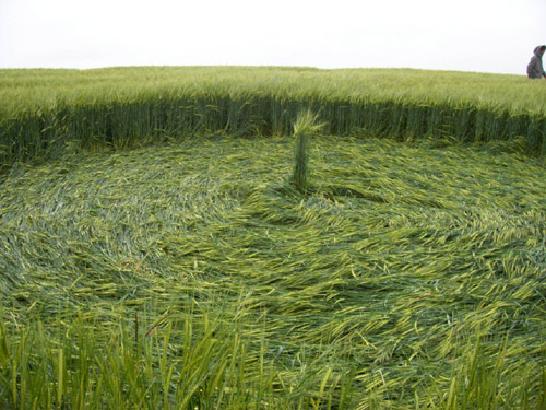 Silbury Hill, Wiltshire crop circle, aerial photo 52