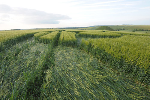 Silbury Hill, Wiltshire crop circle, aerial photo 42