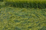 Silbury Hill, Wiltshire crop circle, aerial photo 35