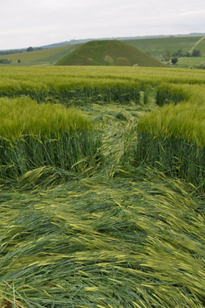 Silbury Hill, Wiltshire crop circle, aerial photo 40