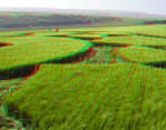 Silbury Hill, Wiltshire crop circle, aerial photo 45