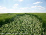 Silbury Hill, Wiltshire crop circle, aerial photo 90