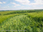 Silbury Hill, Wiltshire crop circle, aerial photo 86