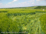 Silbury Hill, Wiltshire crop circle, aerial photo 83