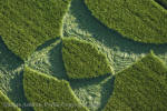 Silbury Hill, Wiltshire crop circle, aerial photo 66