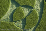Silbury Hill, Wiltshire crop circle, aerial photo 65