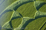 Silbury Hill, Wiltshire crop circle, aerial photo 64