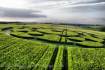 Silbury Hill, Wiltshire crop circle, aerial photo 71