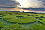 Silbury Hill, Wiltshire crop circle, aerial photo 68