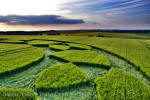 Silbury Hill, Wiltshire crop circle, aerial photo 67