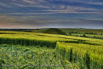Silbury Hill, Wiltshire crop circle, aerial photo 73