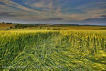 Silbury Hill, Wiltshire crop circle, aerial photo 75