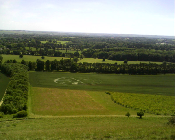 Vale of Pewsey, Wiltshire crop circle, aerial photo 66