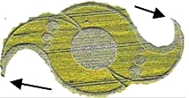 Stonehenge, Wiltshire crop circle, aerial photo 30