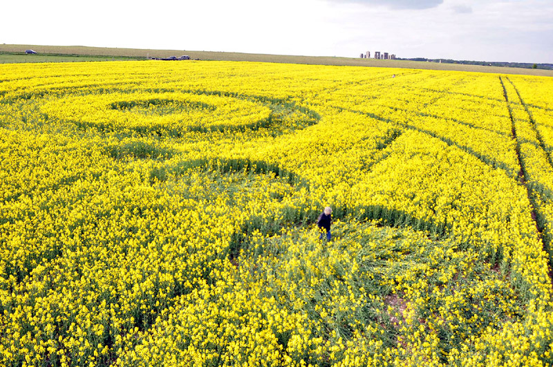 Stonehenge, Wiltshire crop circle, aerial photo 70