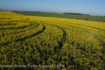 Stonehenge, Wiltshire crop circle, aerial photo 77