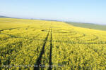 Stonehenge, Wiltshire crop circle, aerial photo 87