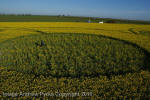 Stonehenge, Wiltshire crop circle, aerial photo 74