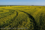 Stonehenge, Wiltshire crop circle, aerial photo 93