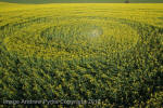 Stonehenge, Wiltshire crop circle, aerial photo 92