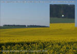 Stonehenge, Wiltshire crop circle, aerial photo 88