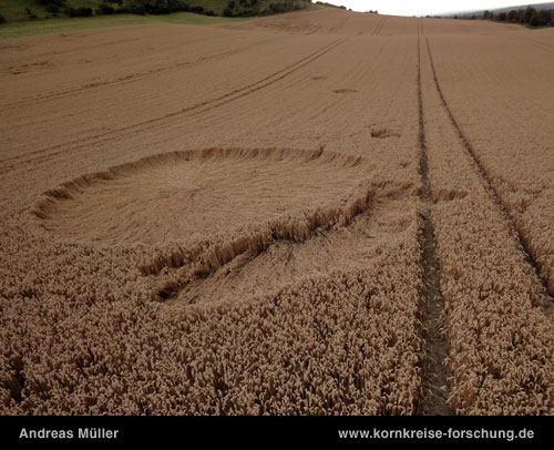 Westbury White Horse, Wiltshire crop circle, aerial photo 11