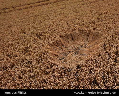 Westbury White Horse, Wiltshire crop circle, aerial photo 8
