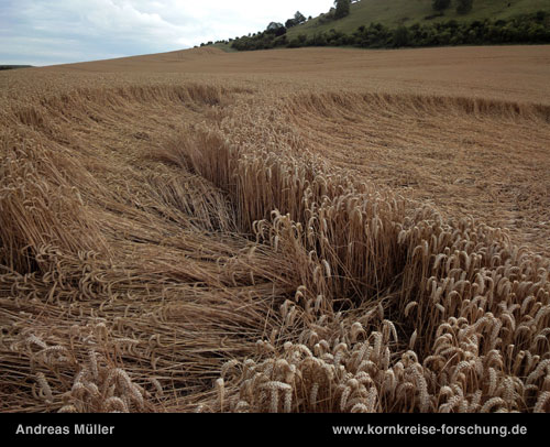 Westbury White Horse, Wiltshire crop circle, aerial photo 9