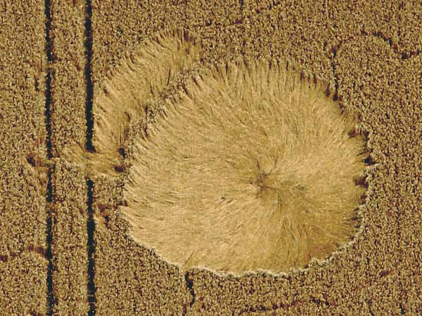 Westbury White Horse, Wiltshire crop circle, aerial photo 2