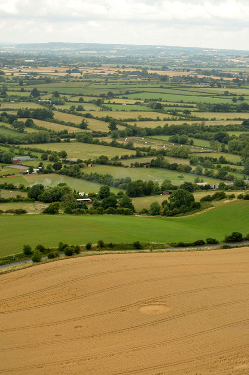 Westbury White Horse, Wiltshire crop circle, aerial photo 3