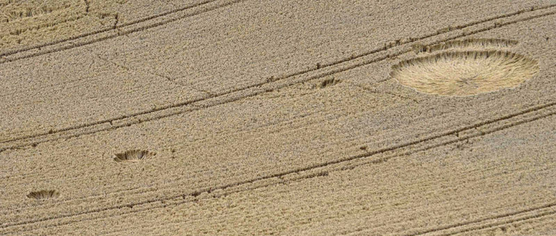 Westbury White Horse, Wiltshire crop circle, aerial photo 4