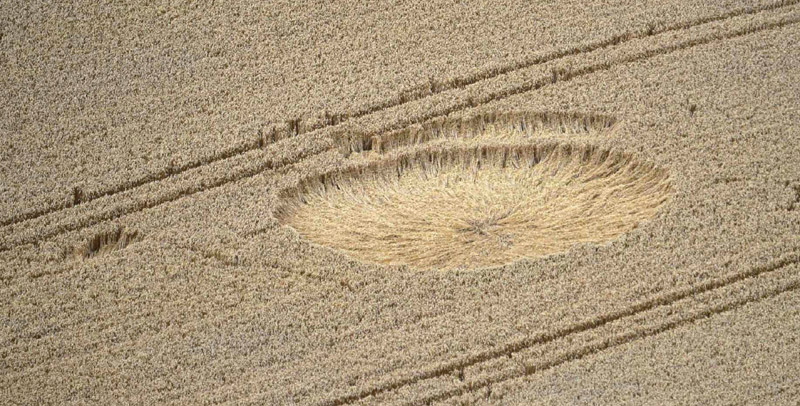 Westbury White Horse, Wiltshire crop circle, aerial photo 5