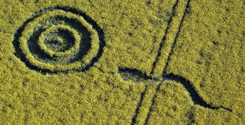 Westwoods, Wiltshire crop circle, aerial photo 24
