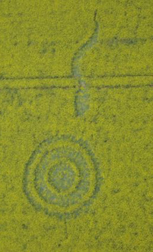 Westwoods, Wiltshire crop circle, aerial photo 11