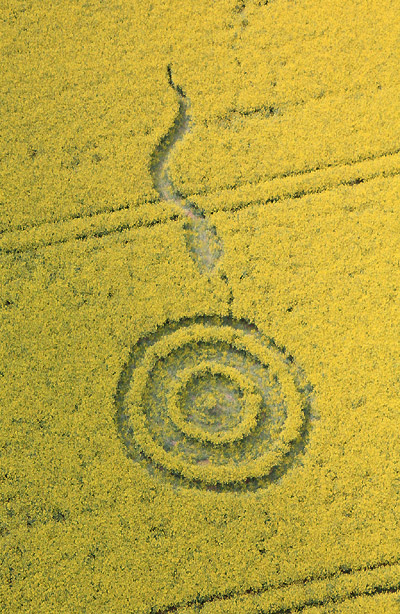 Westwoods, Wiltshire crop circle, aerial photo 5