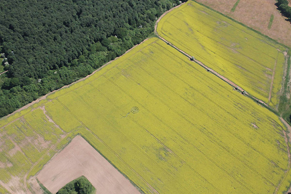 Westwoods, Wiltshire crop circle, aerial photo 4