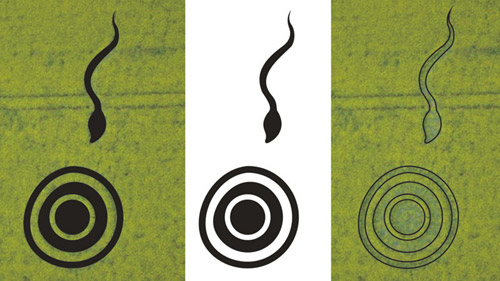 Westwoods, Wiltshire crop circle, aerial photo 12