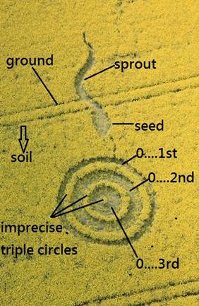 Westwoods, Wiltshire crop circle, aerial photo 8