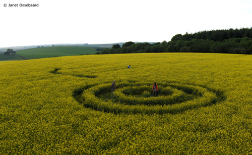 Westwoods, Wiltshire crop circle, aerial photo 16